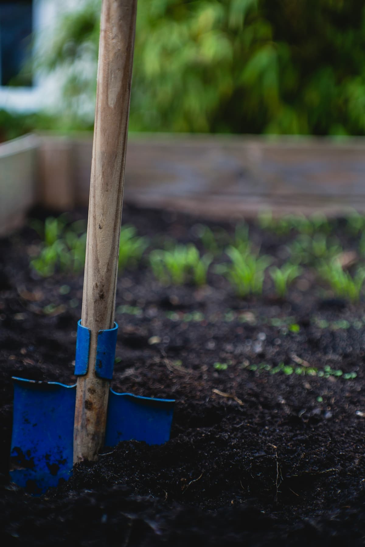 entretien de jardins et espaces verts à lille