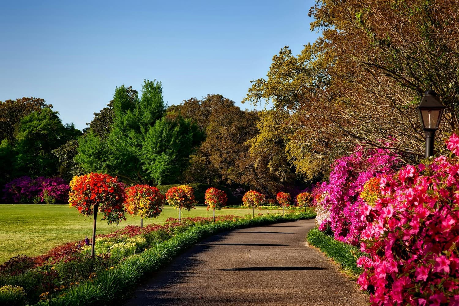 Création et Aménagement de jardins à lille