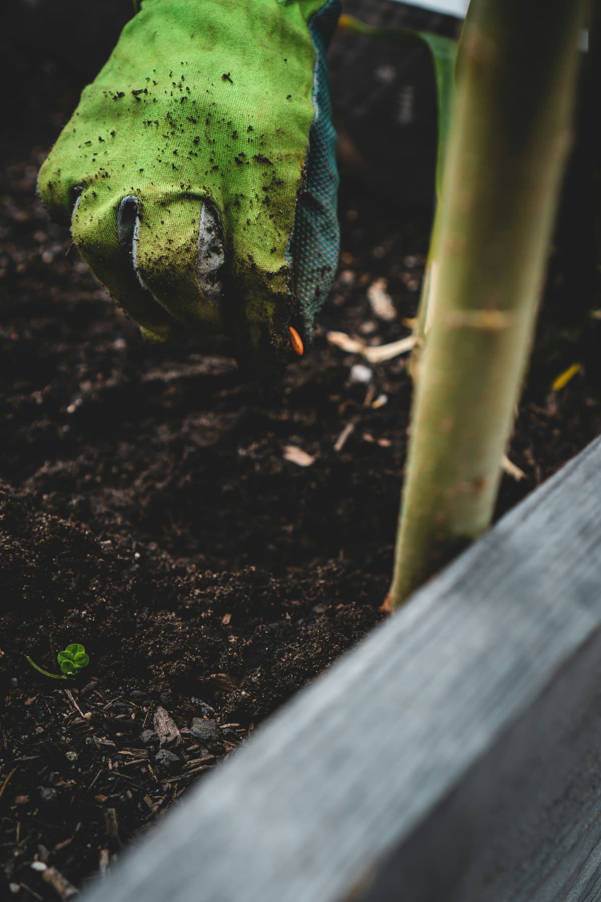 le choix de plantation :<br/>pour un jardin fleuri <span>toute l’année</span>