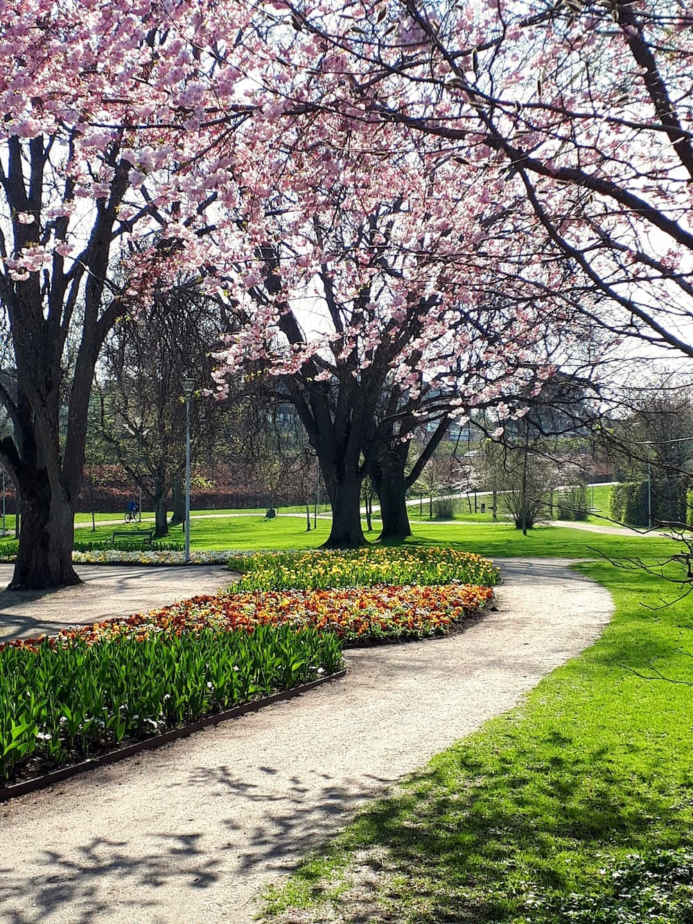 Entretien parc